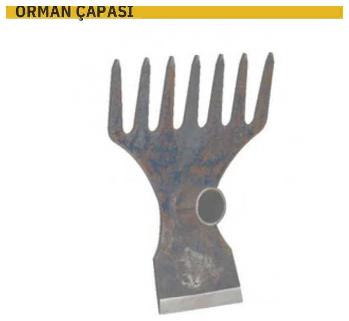 ORMAN ÇAPASI