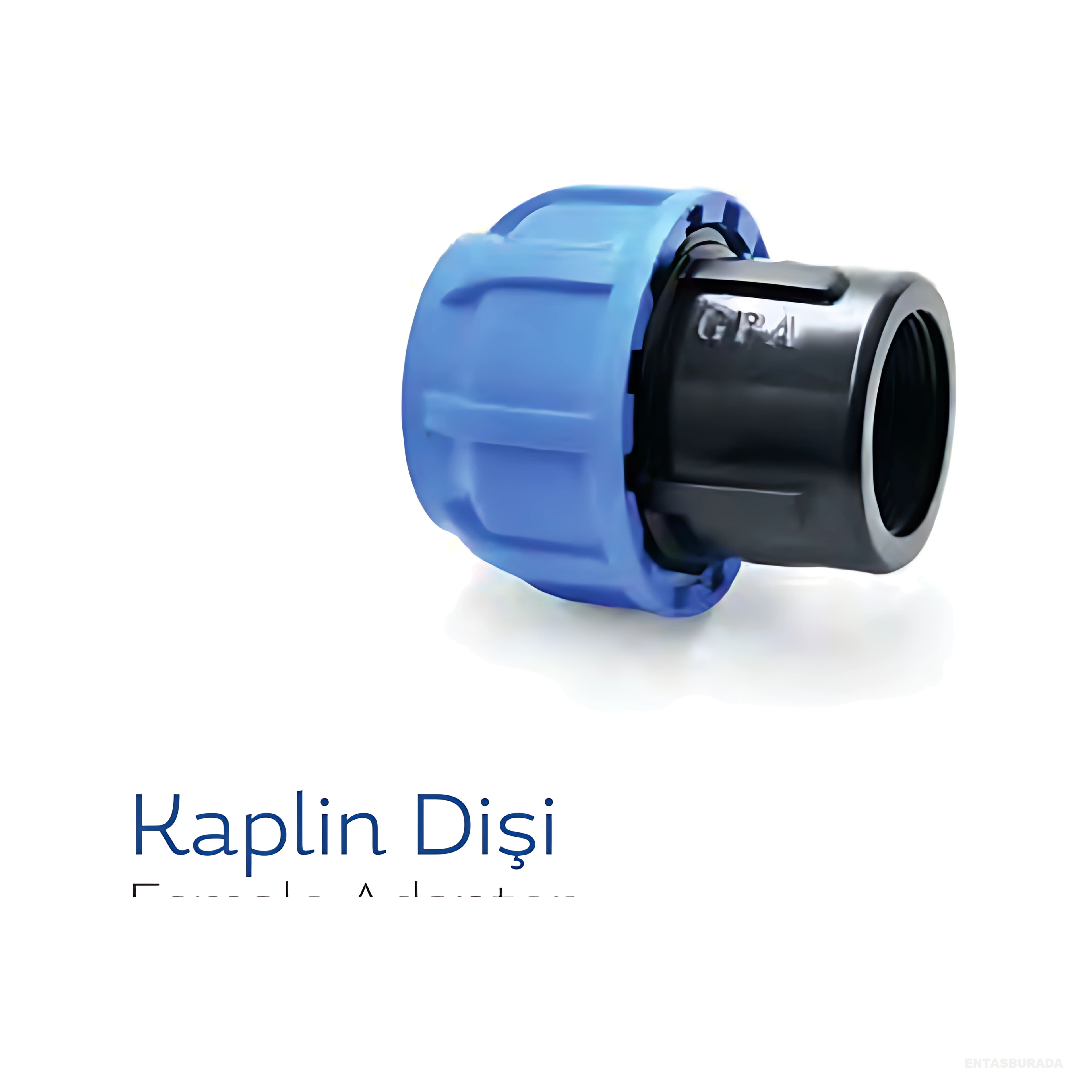 Kaplin Dişi - 21432