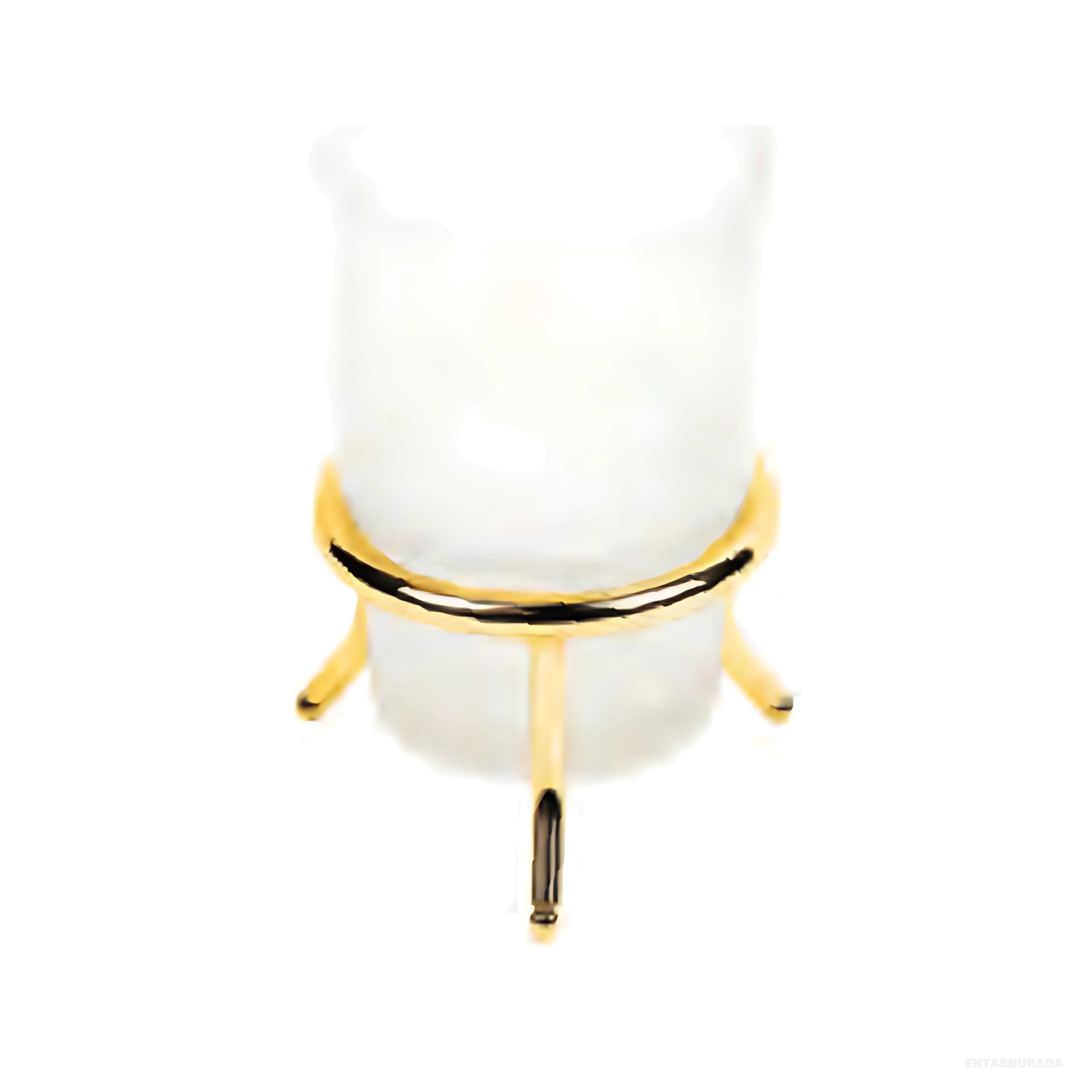 DAMLA GOLD SERİSİ ÜÇ AYAKLI DİŞ FIRÇALIK - DG5861